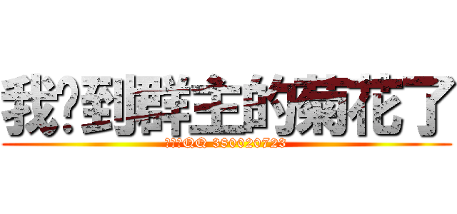 我撿到群主的菊花了 (群主的QQ 380020723)