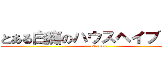 とある白痴のハウスヘイブリッジ (o0loud0o)