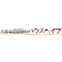 とある白痴のハウスヘイブリッジ (o0loud0o)