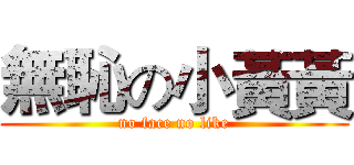 無恥の小黃黃 (no face no like)