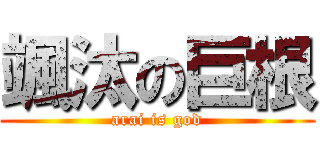 颯汰の巨根 (arai is god)