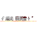 〝﹢陽光  群英會 ﹢〞  (attack on titan)