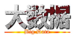 大数据 (Big Data)