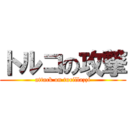 トルコの攻撃 (attack on turillazzi)