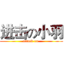 进击の小羽 (attack on )