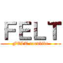 ＦＥＬＴ (FELT roadbike)