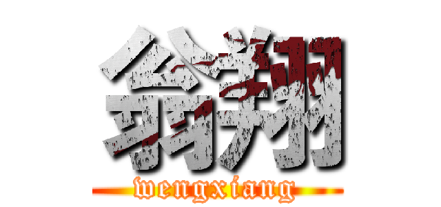翁翔 (wengxiang)