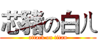 芯豬の白ㄦ (attack on titan)