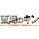 東海のキン (KIN Tokai On Air)