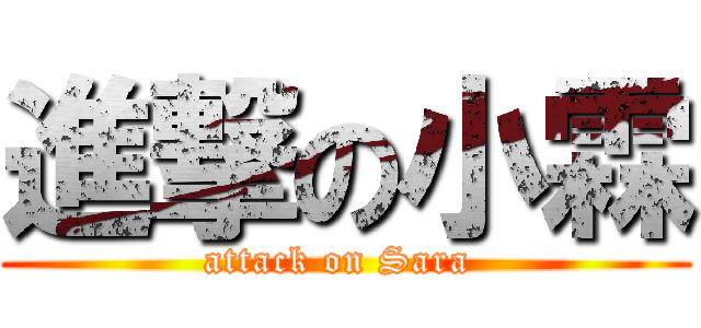 進撃の小霖 (attack on Sara )