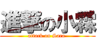 進撃の小霖 (attack on Sara )