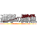 進撃の鱒魚 (attack on titan)