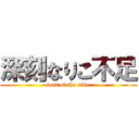 深刻なりこ不足 (lost of the riko)