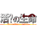 活泼の生命 (Quiet Ttime of Life)