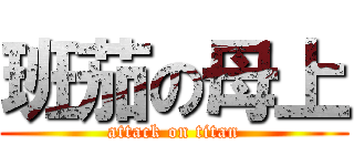 班茄の母上 (attack on titan)