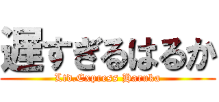 遅すぎるはるか (Ltd.Express Haruka)