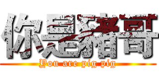 你是豬哥 (You are pig pig)