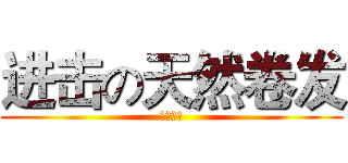 进击の天然卷发 (小组介绍)