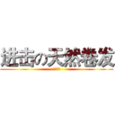进击の天然卷发 (小组介绍)
