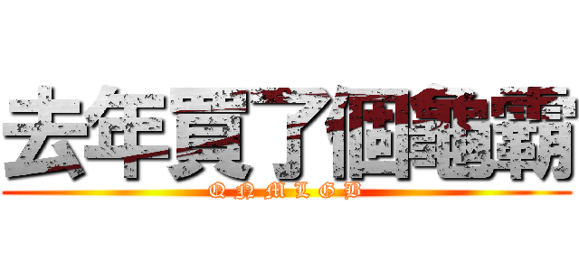 去年買了個龜霸 (Q N M L G B)