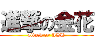 進撃の金花 (attack on ASH)