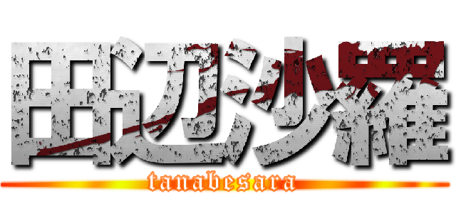 田辺沙羅 (tanabesara)
