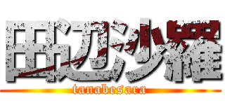 田辺沙羅 (tanabesara)
