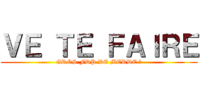 ＶＥ ＴＥ ＦＡＩＲＥ (GROS FDP DE MERDE 🖕)