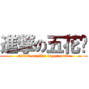 進撃の五花腩 (attack on five layer pork)