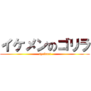 イケメンのゴリラ (syabani)