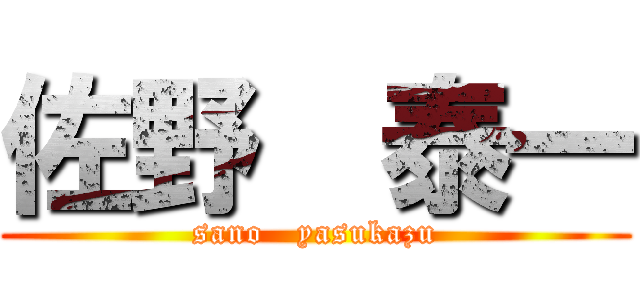 佐野  泰一 (sano   yasukazu)