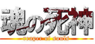 魂の死神 (reaper of souls)