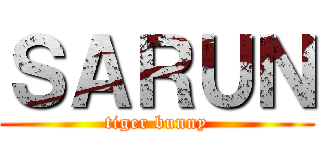 ＳＡＲＵＮ (tiger bunny)