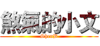 煞氣的小文 (ShenB)