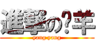 進撃の烤羊 (yang yang)