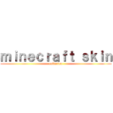 ｍｉｎｅｃｒａｆｔ ｓｋｉｎ (collection)