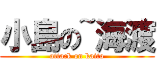 小島の~海渡 (attack on kaito)