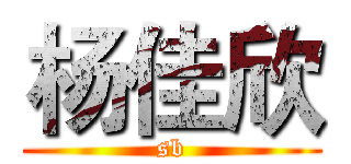 杨佳欣 (sb)