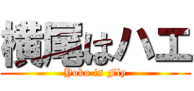 横尾はハエ (Yoko is Fly)