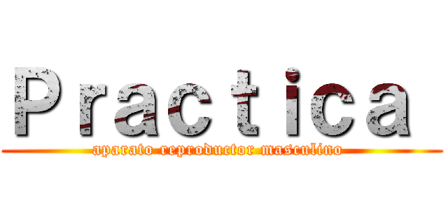 Ｐｒａｃｔｉｃａ  (aparato reproductor masculino )