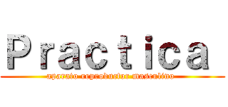 Ｐｒａｃｔｉｃａ  (aparato reproductor masculino )
