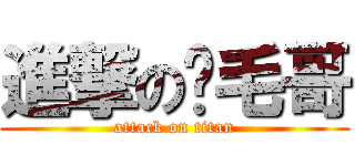 進撃の腳毛哥 (attack on titan)