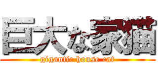 巨大な家猫 (gigantic house cat)