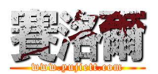 賽洛爾 (www.yujiett.com)