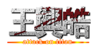 王興皓 (attack on titan)