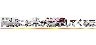 胃袋にお米が進撃してくるほど ()