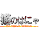 猫のはにゃ (HANYA E GATTO)