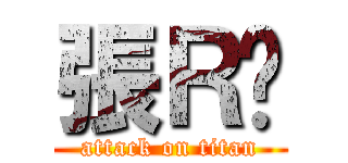 張Ｒ婷 (attack on titan)