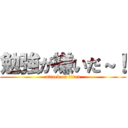 勉強が嫌いだ～！ (attack on titan)