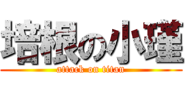 培根の小瑾 (attack on titan)